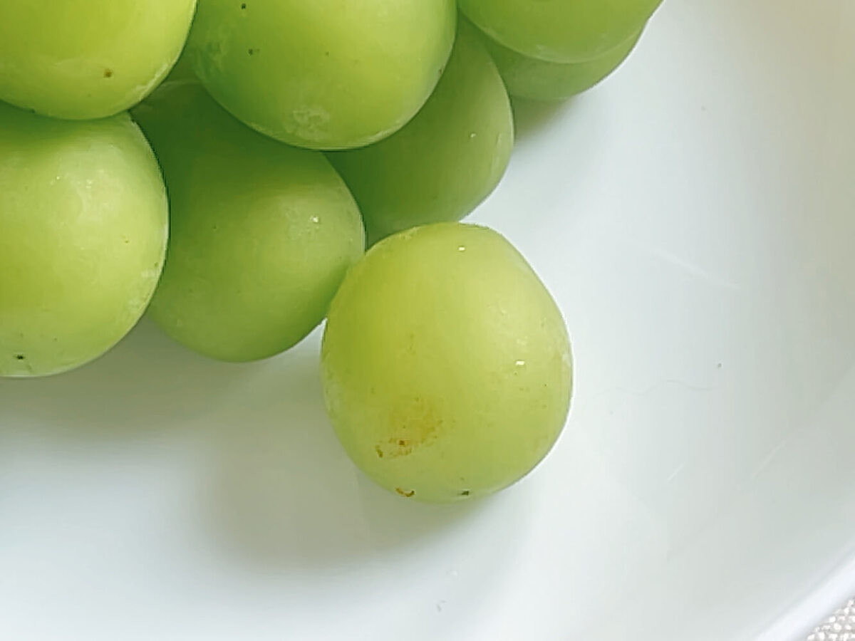 食べチョク「シャインマスカットを長持ちさせる方法」