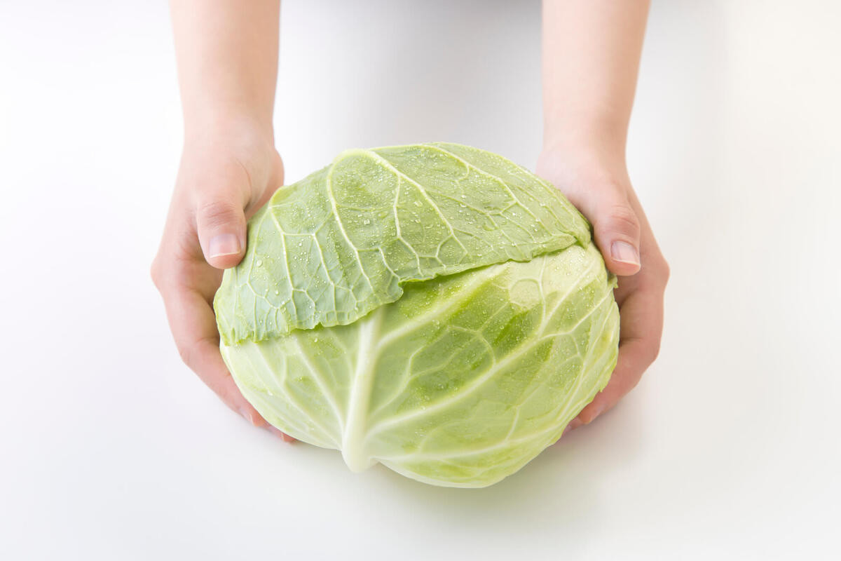 梅雨時に失敗しない野菜の選び方