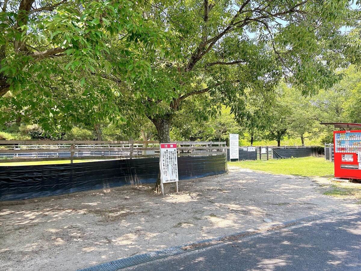 道の駅みやま公園
