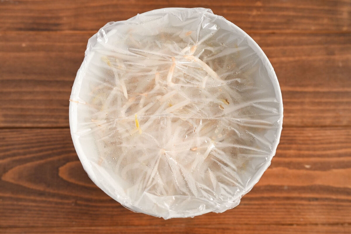 ツナ缶ともやしのオイスターナムル