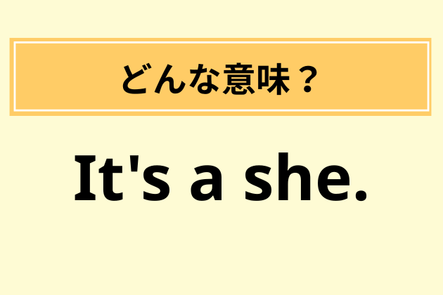 “It's a she.”の意味は？