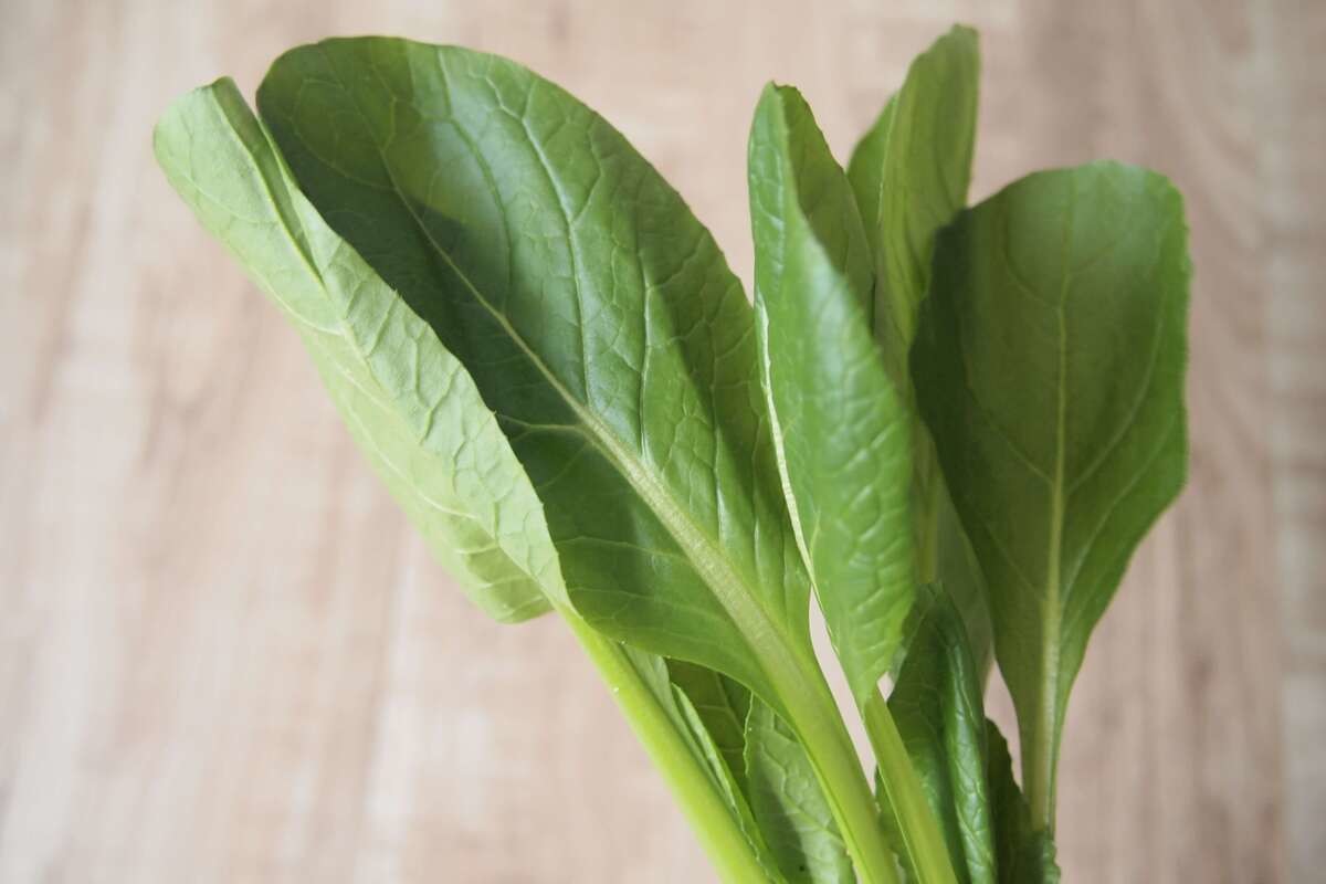 小松菜の栄養・保存方法・食べ方