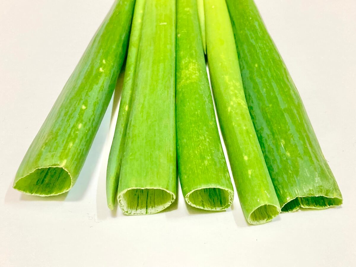 【長ネギの見分け方】おいしい特徴とは？