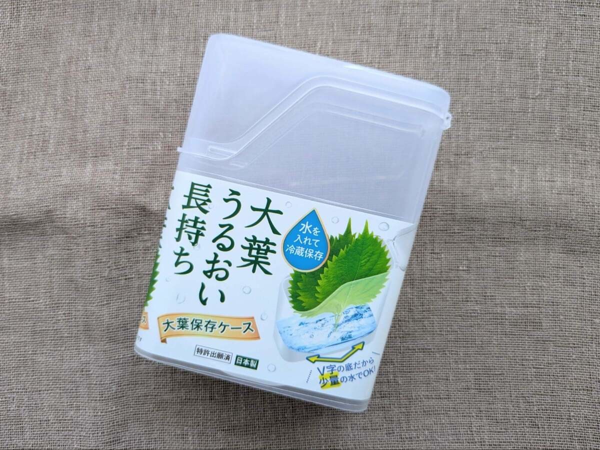 【ダイソー】「家のスポンジやめます」