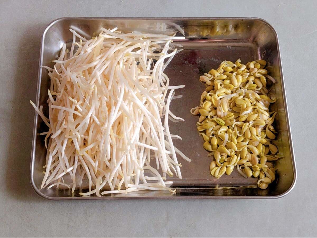 豆もやしの焼きそば