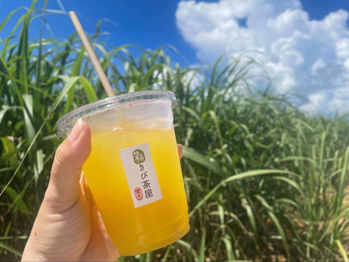 賞味期限たったの5分！】きび茶屋さん「自分で絞ってください
