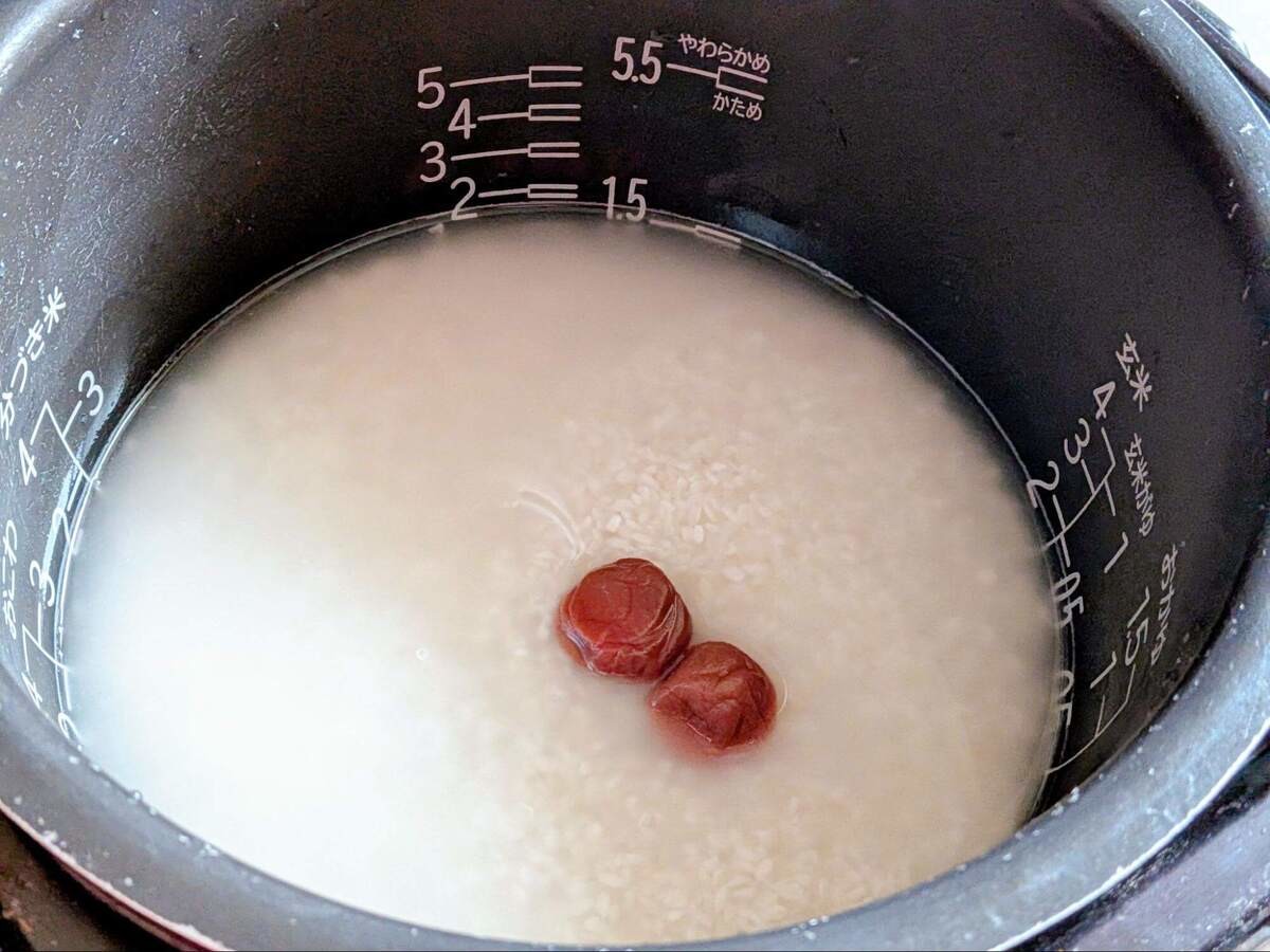 梅干しのさっぱりだしごはん