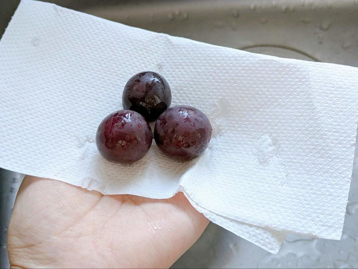食中毒　ぶどう