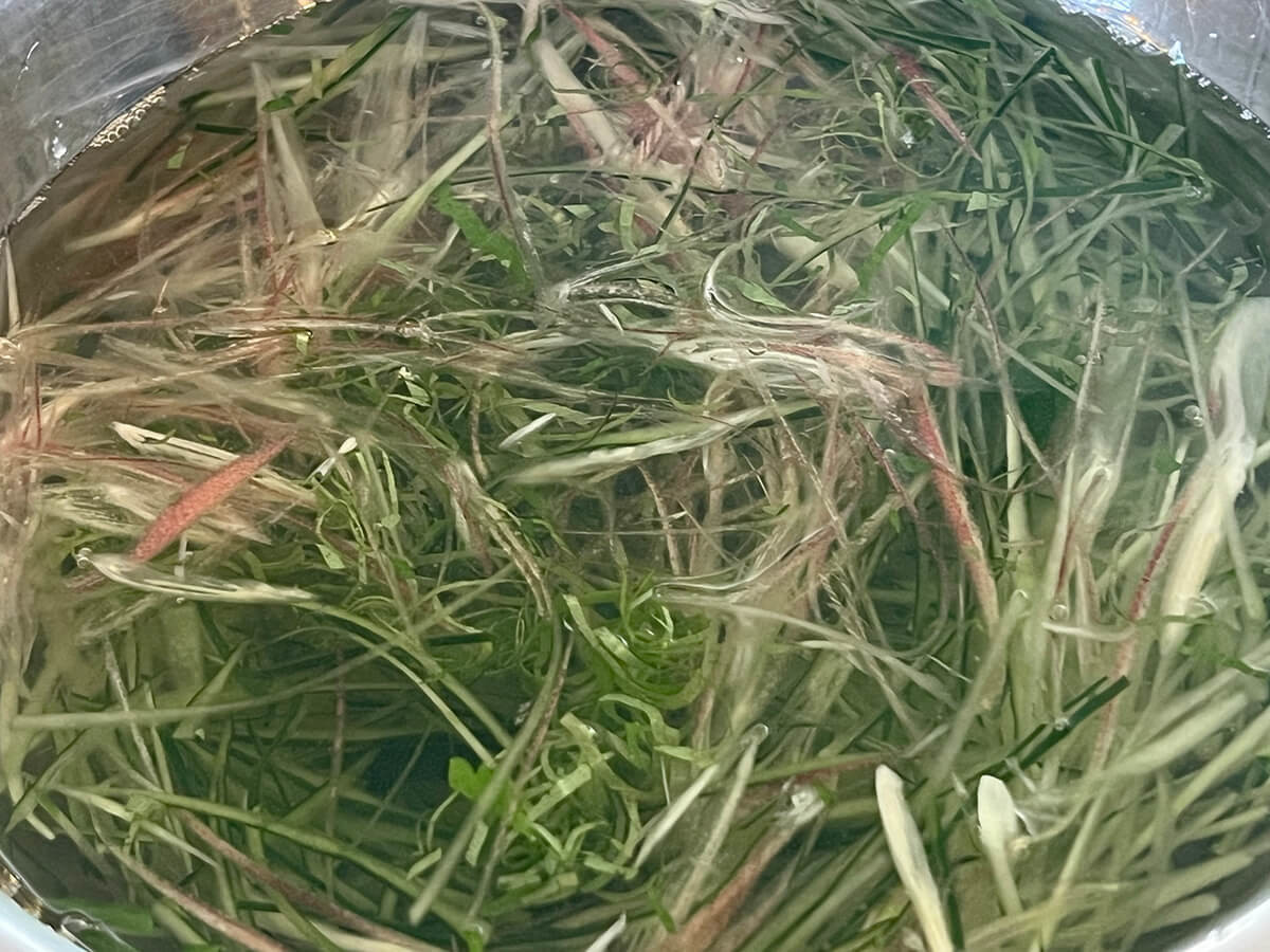 無限きゅうりサラダ