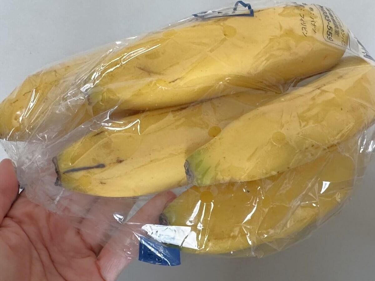 トライアル筆者おすすめ