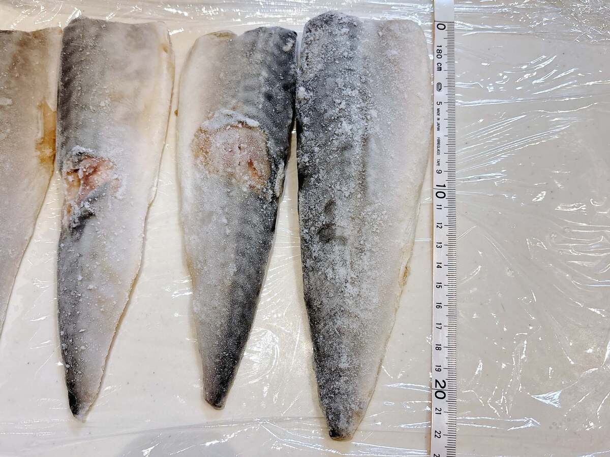 【1kgぎっしり】骨取り済みのサバが大量～！
