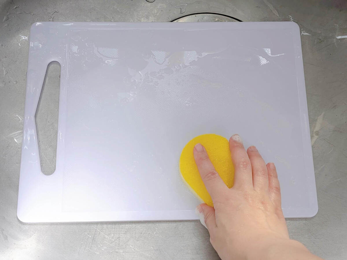 スポンジ