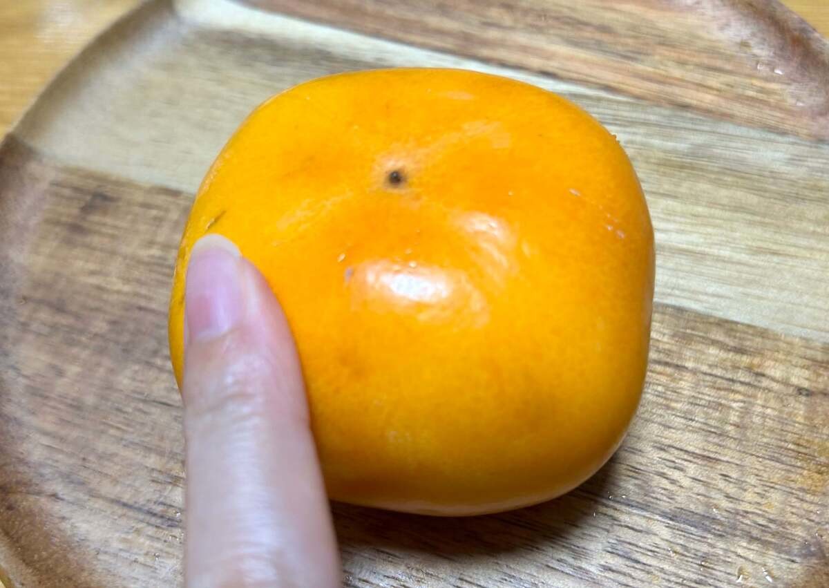 秋に旬を迎える