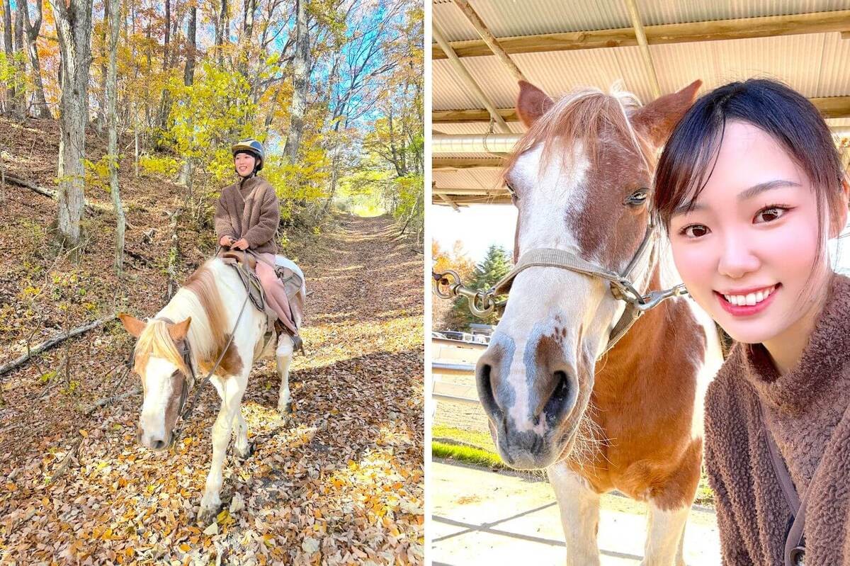 山梨パディーフィールド