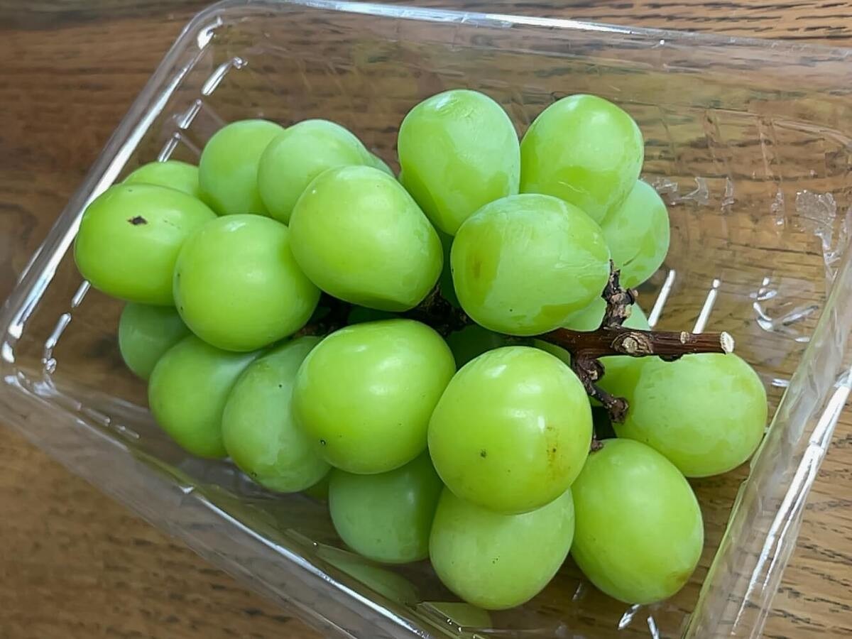 食べチョク「シャインマスカットを長持ちさせる方法」