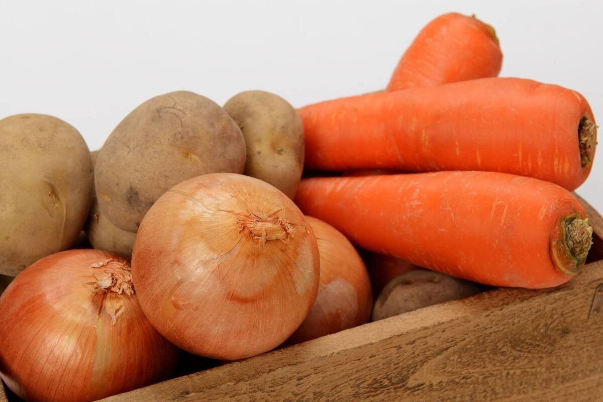 なぜすぐ冷蔵庫に食品を入れてはいけないのか