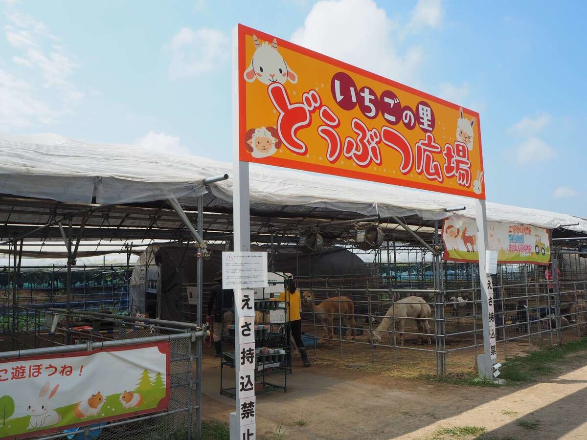 「いちごの里」内のカフェ「アンジェ・フレーゼ」