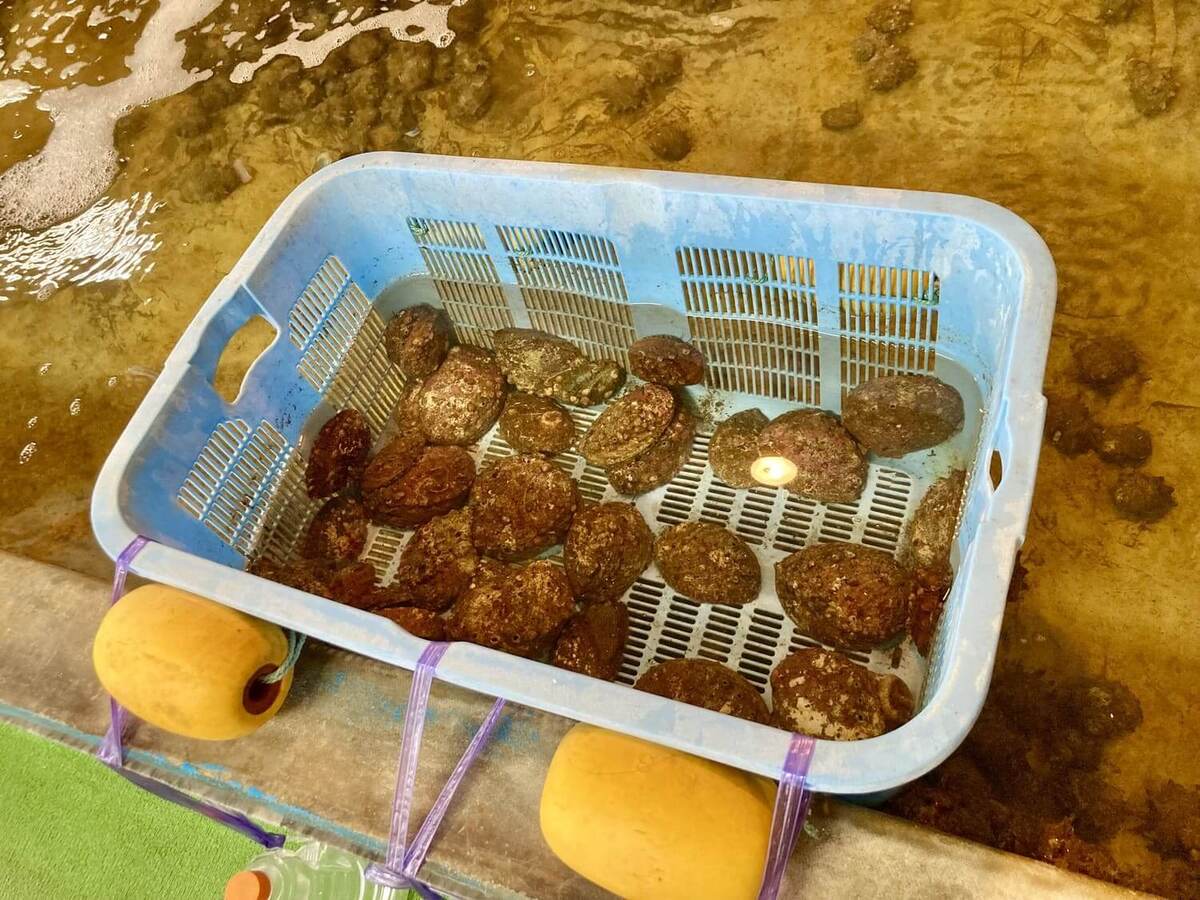 佐渡ヶ島「長浜荘」とは?