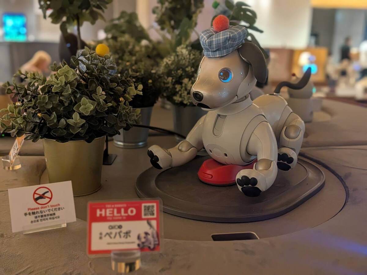 Pepper PARLOR（ペッパーパーラー）