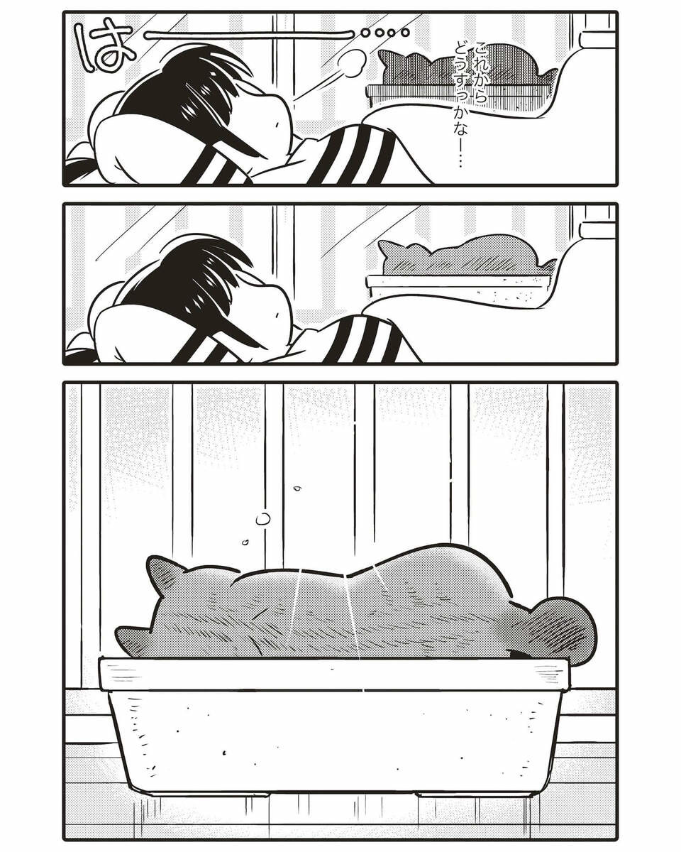 旦那と別居して一人暮らし…1人と野良猫の東京物語【コミックエッセイ