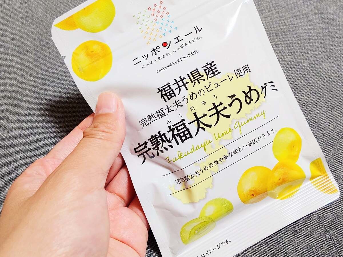ニッポンエール