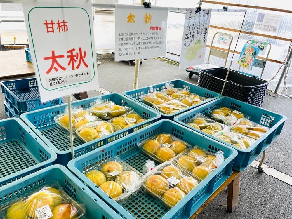 「道の駅 富有柿の里いとぬき」