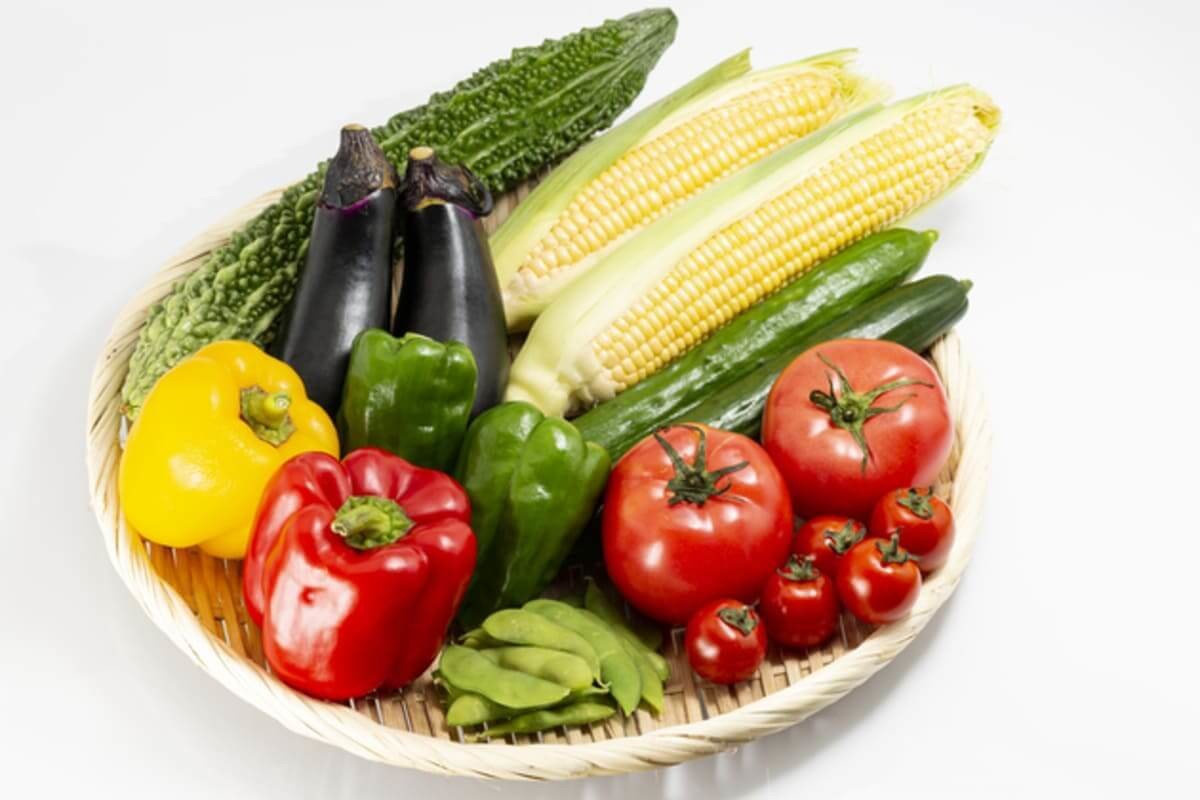 8月が旬の野菜