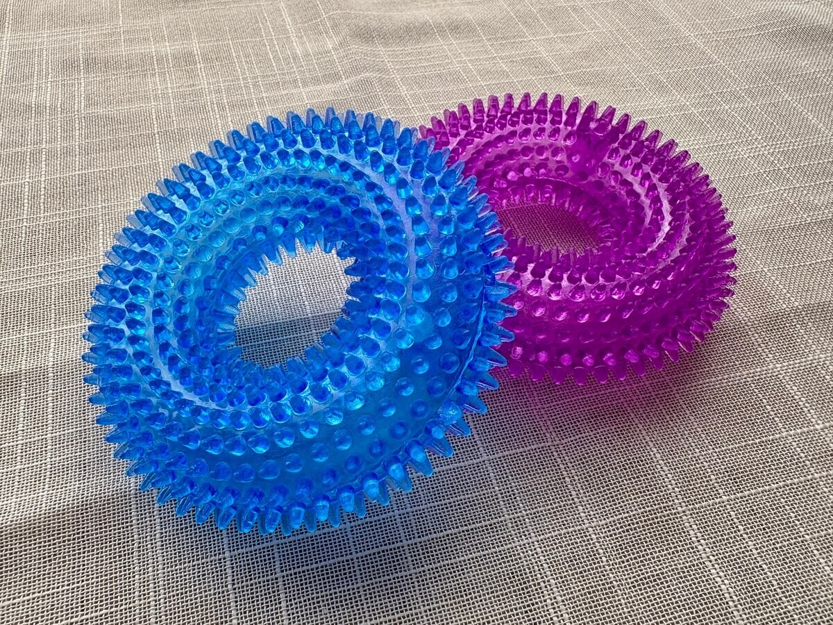 ダイソーの犬用おすすめグッズを3つ