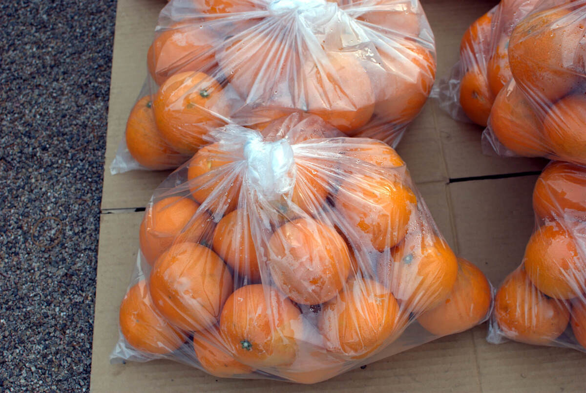 長距離ドライブが快適になるサービスエリアでの過ごし方や、避けた方がいい食べ物、飲み物