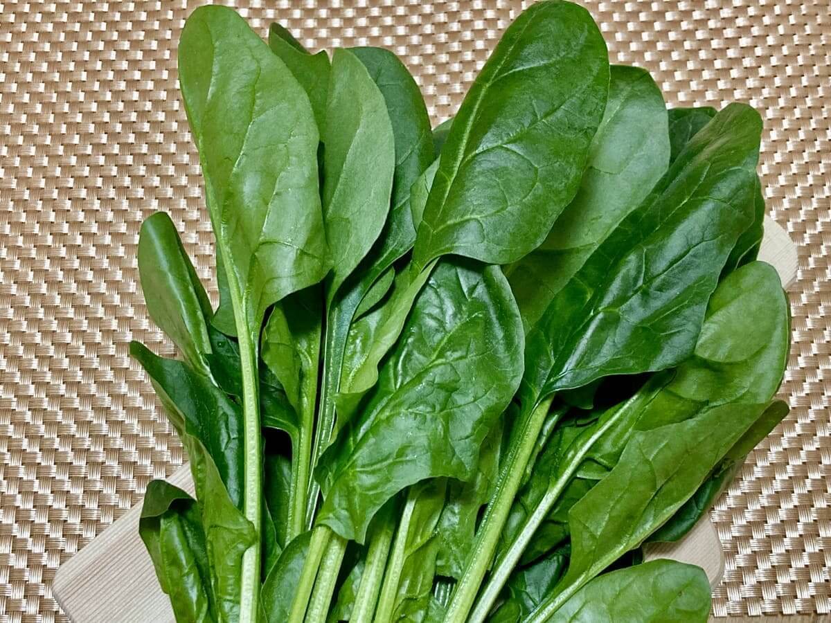 ほうれん草の「赤い部分」の正体は栄養!