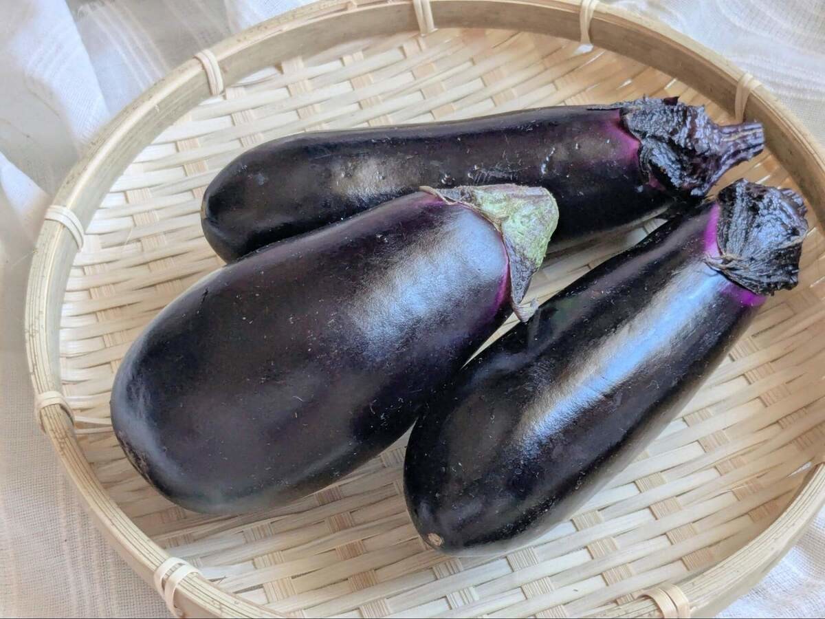 ミツカン公式「とろとろなすのにんにく焼き」