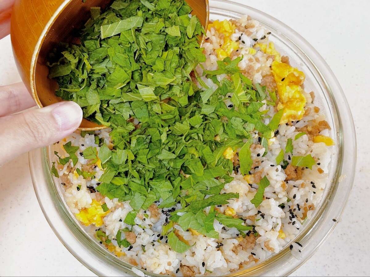 青じそと黒ごまのそぼろご飯