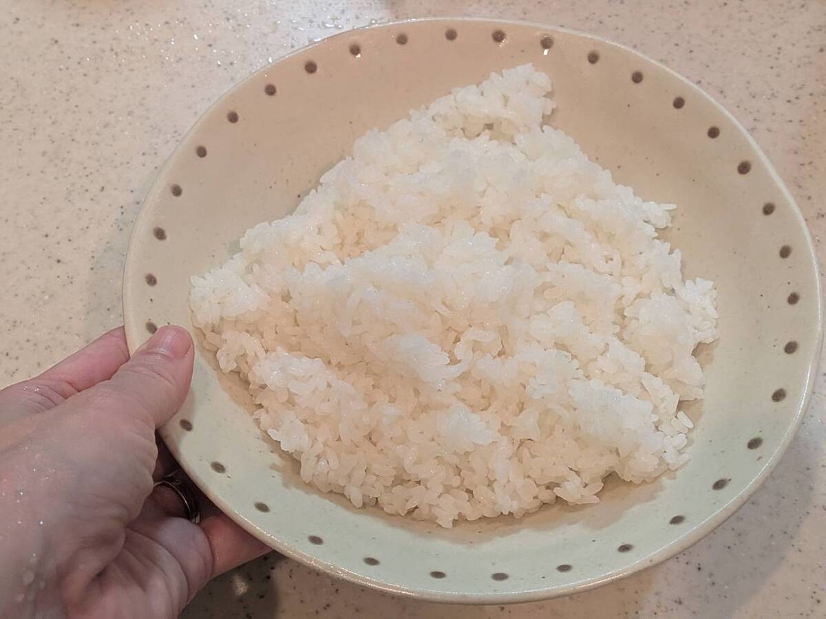 牛丼