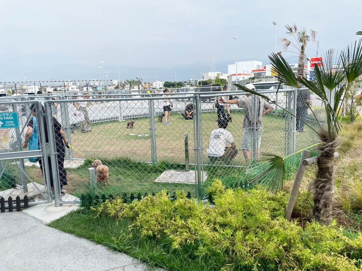 道の駅「湘南ちがさき」