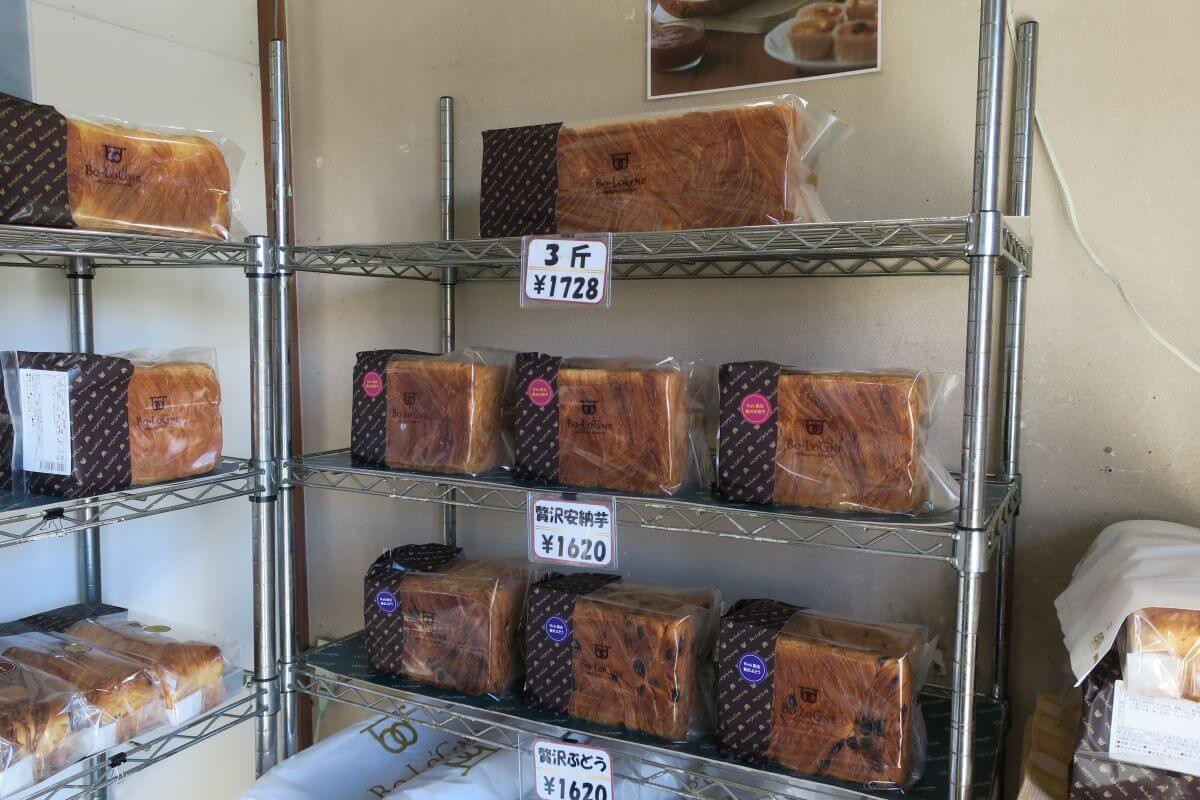 ボローニャ横浜