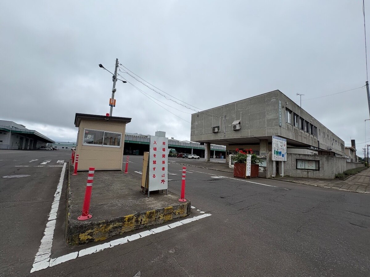 【青森市中央卸売市場】舘山商店の大人気「手羽先」を実食