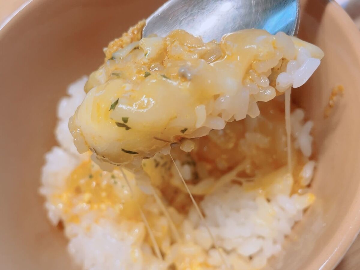 豚肉のヨーグルト煮込み