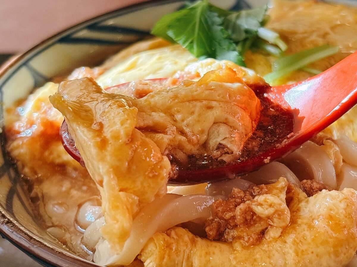 丸亀製麺「だし玉肉づつみうどん 並（税込890円）」