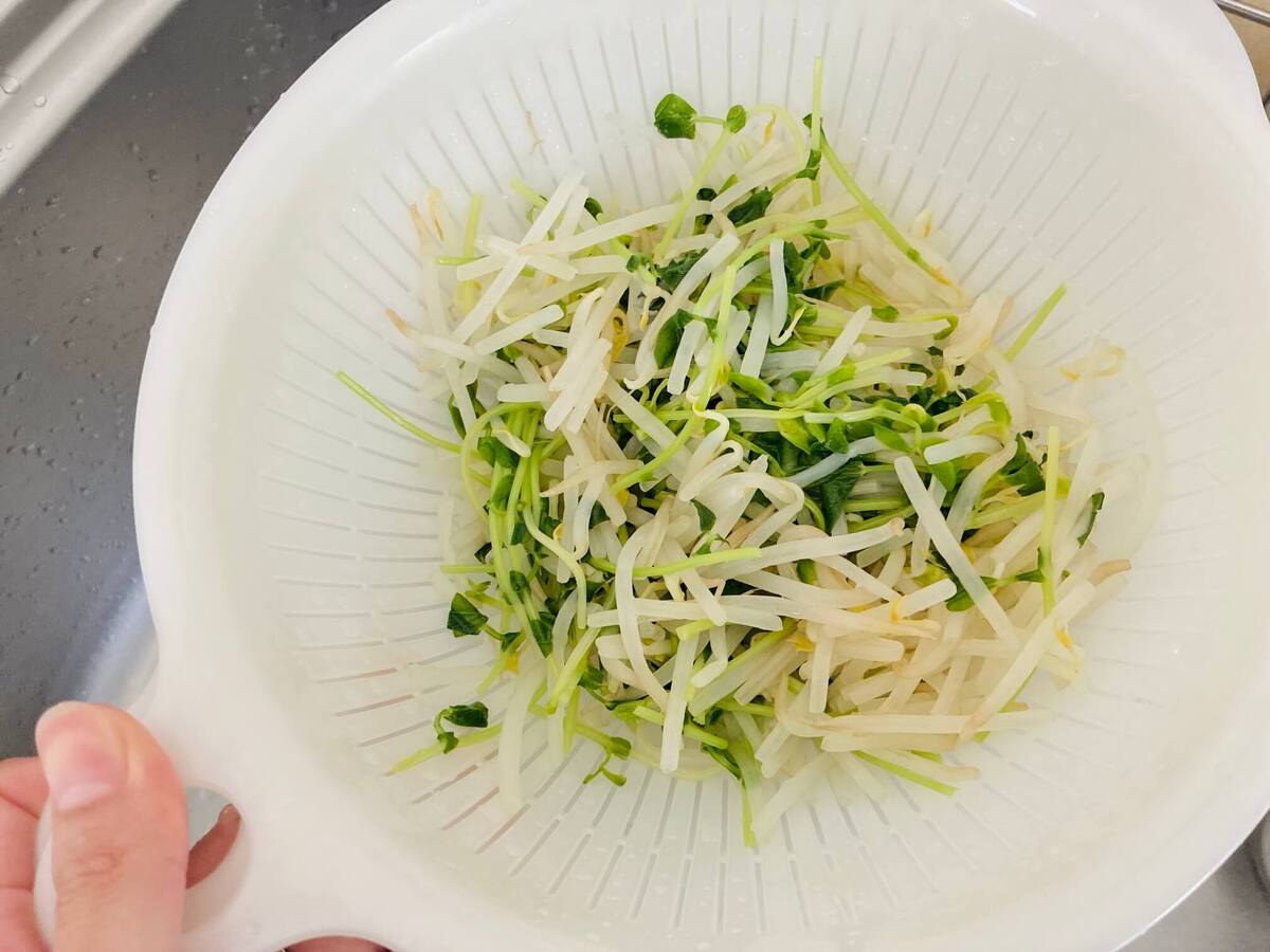 もやし×豆苗の洋風サラダ