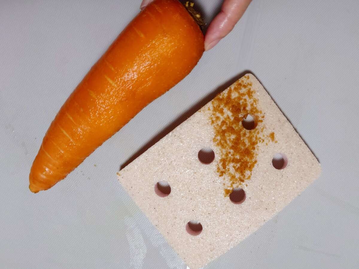 サタプラ紹介で話題！