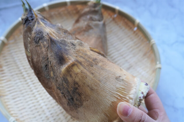 お願い！たけのこのアク抜き