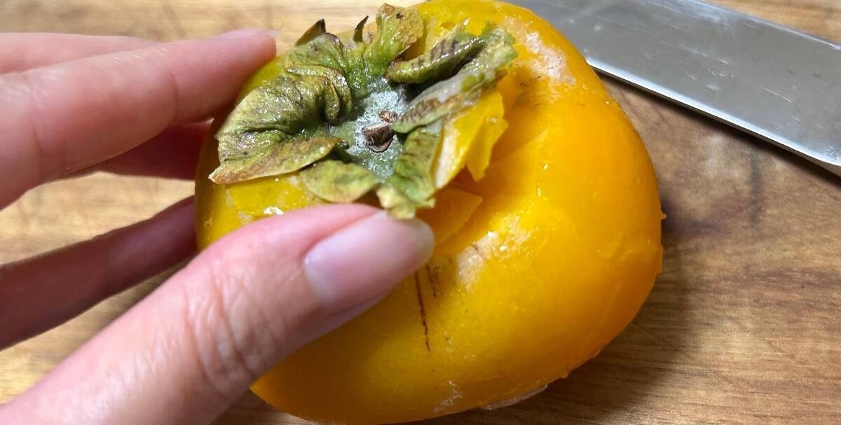 秋に旬を迎える