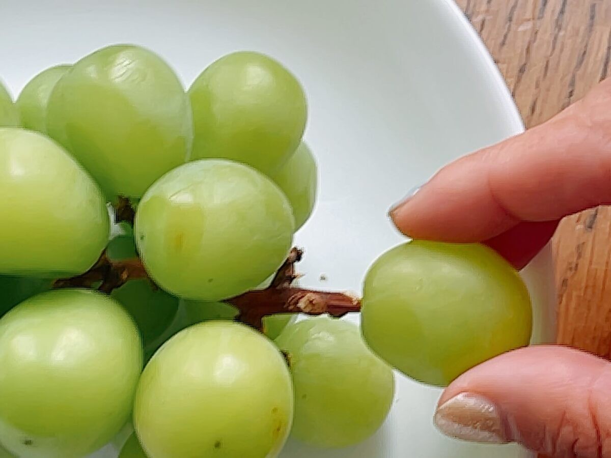 食べチョク「シャインマスカットを長持ちさせる方法」