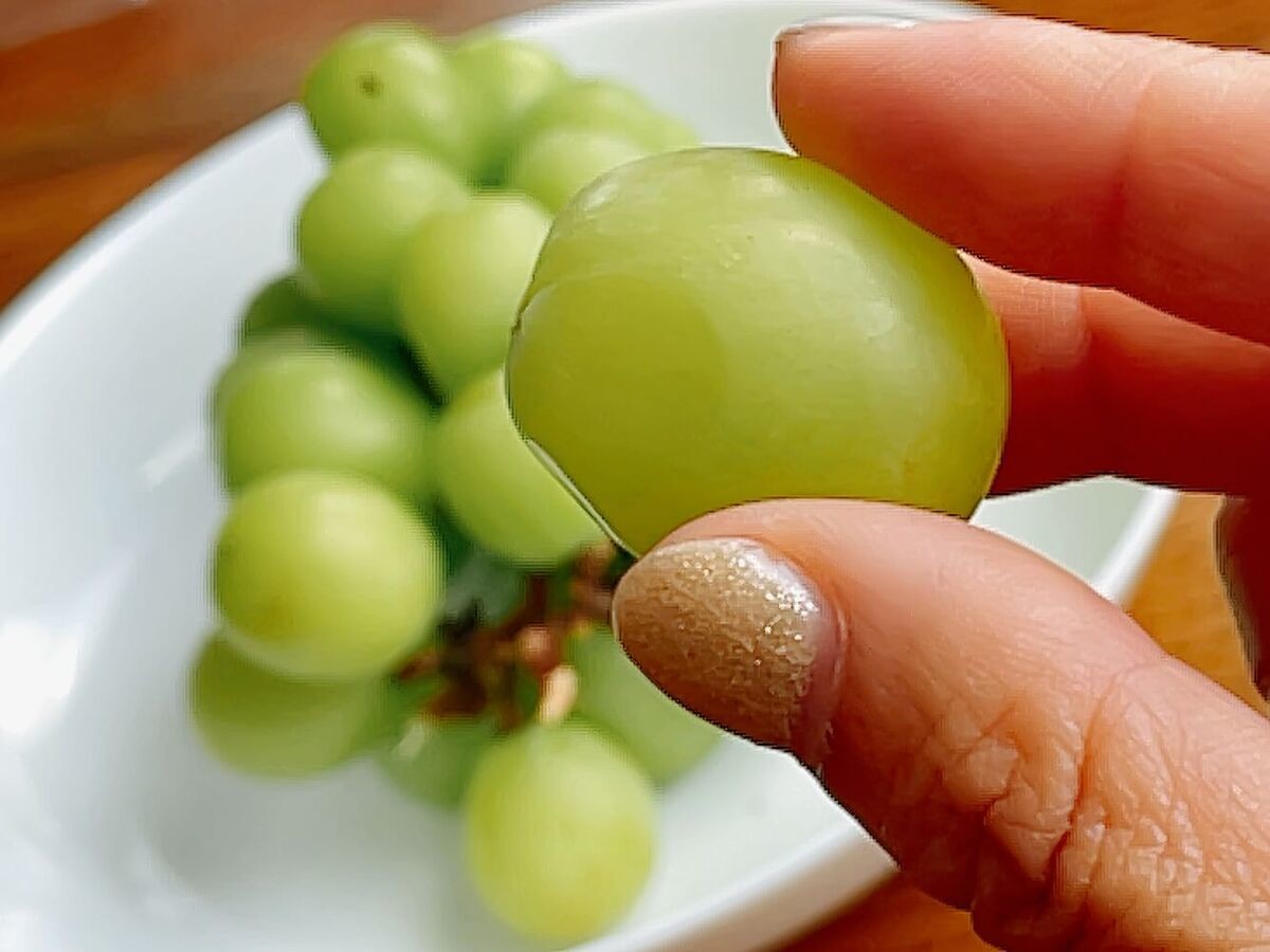 食べチョク「シャインマスカットを長持ちさせる方法」