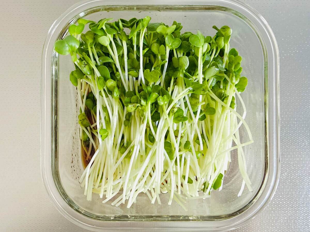 カイワレ大根