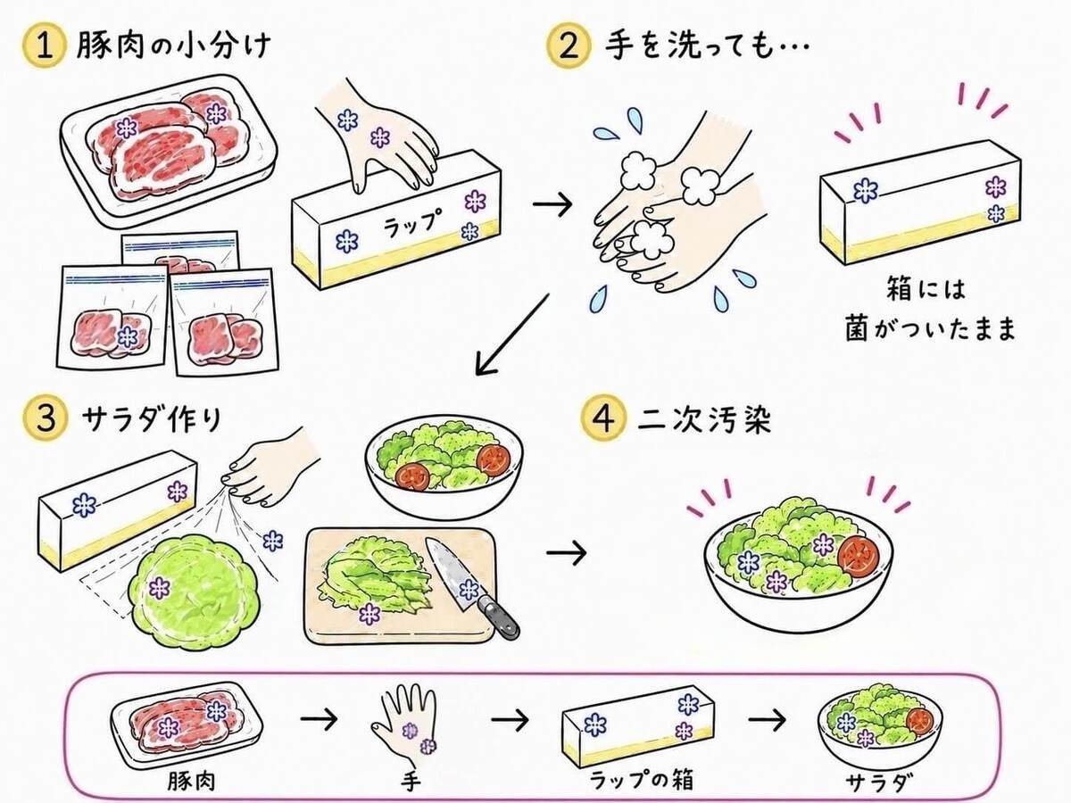 【管理栄養士が解説】ラップの箱に潜む食中毒リスク
