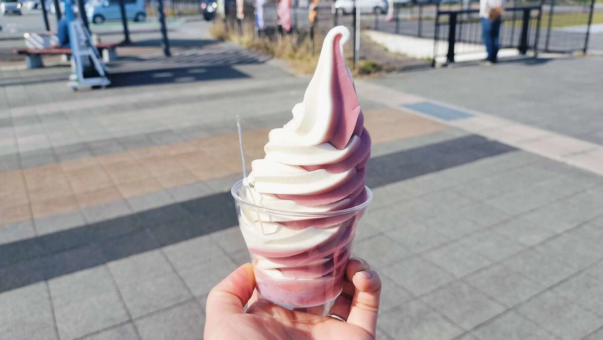 「道の駅 ヘルシーテラス佐久南」