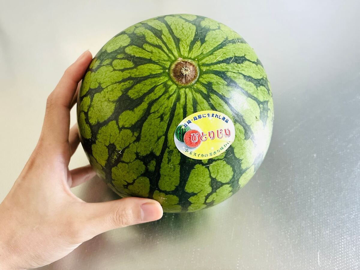 【スイカ】はこう切ればよかったのね