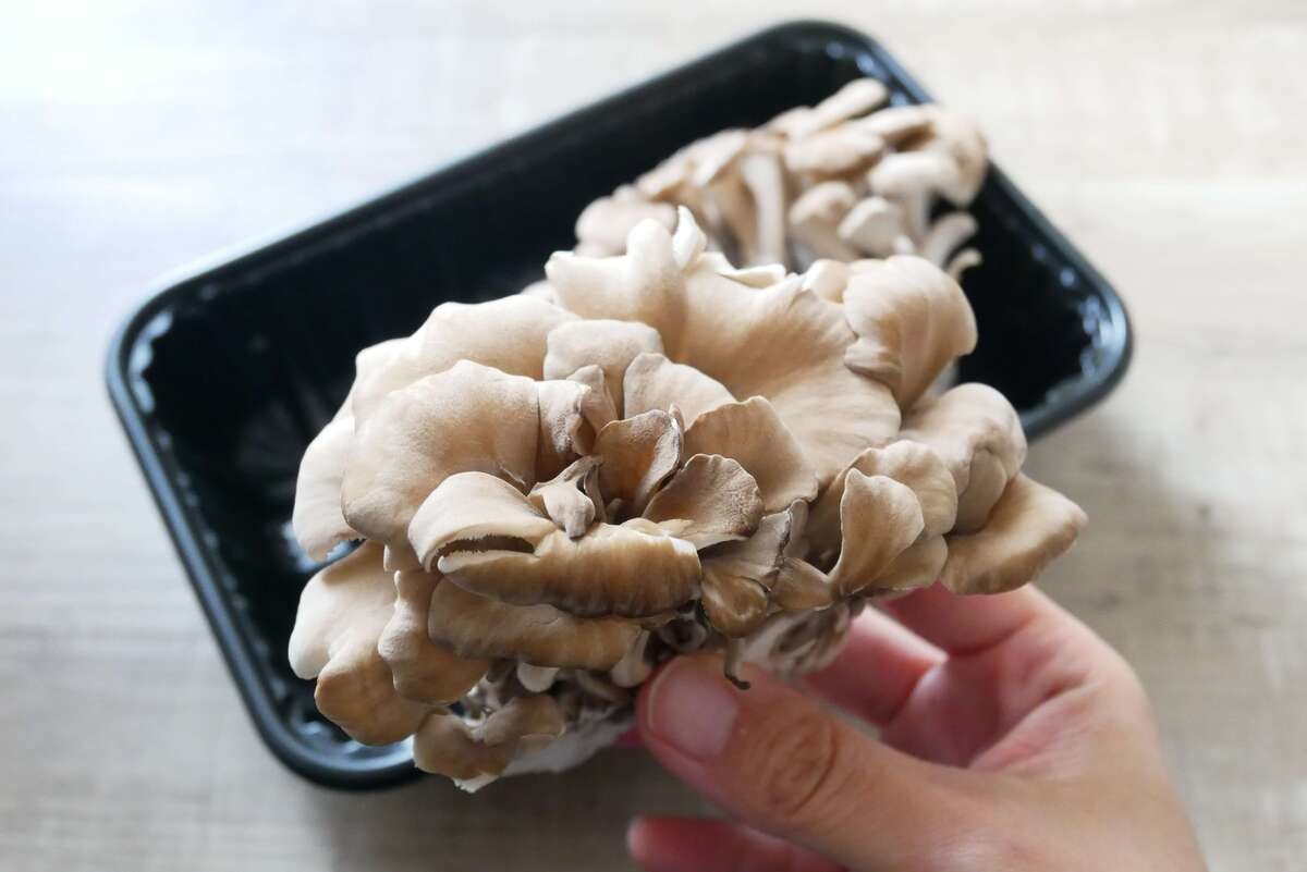 おいしい舞茸の選び方
