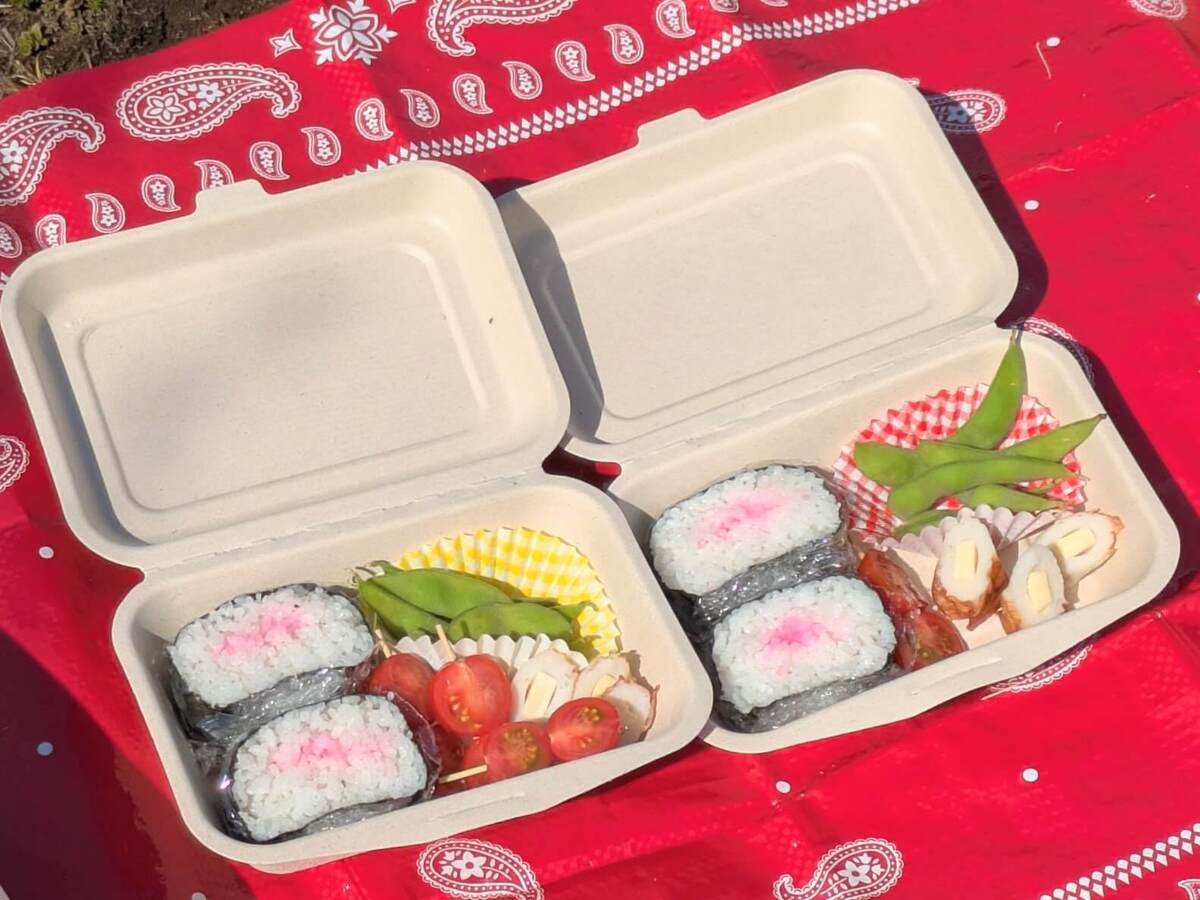 無印良品のピクニックに使えるアイテム